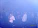 150308Neidschuetz (20)