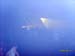150308Neidschuetz (36)